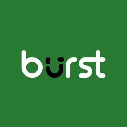 Burst Statistics Privacy-Friendly Analytics for WordPress
