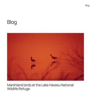 トゥエンティトゥエンティファイブ